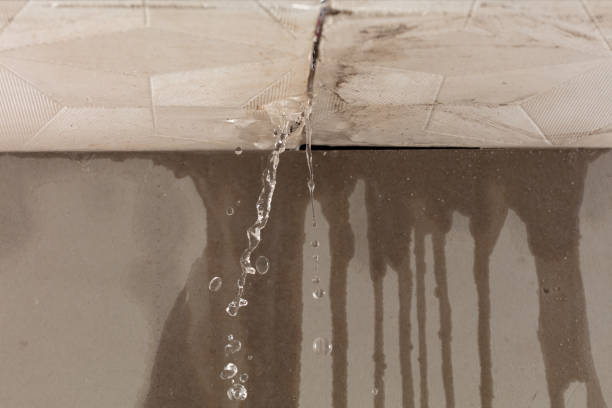 Professional Structural Drying technician working in Garland, UT